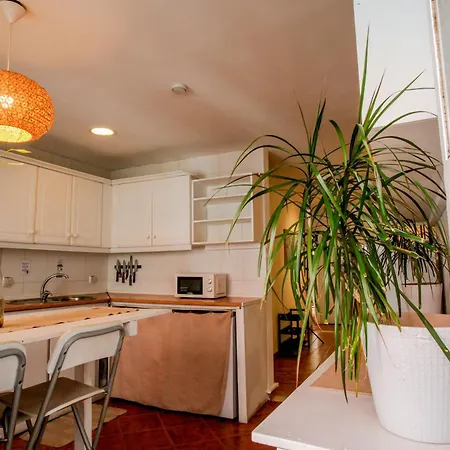 Cozy Private With Patio Apartmán